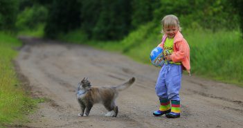 Que faire du chat pendant les vacances ?