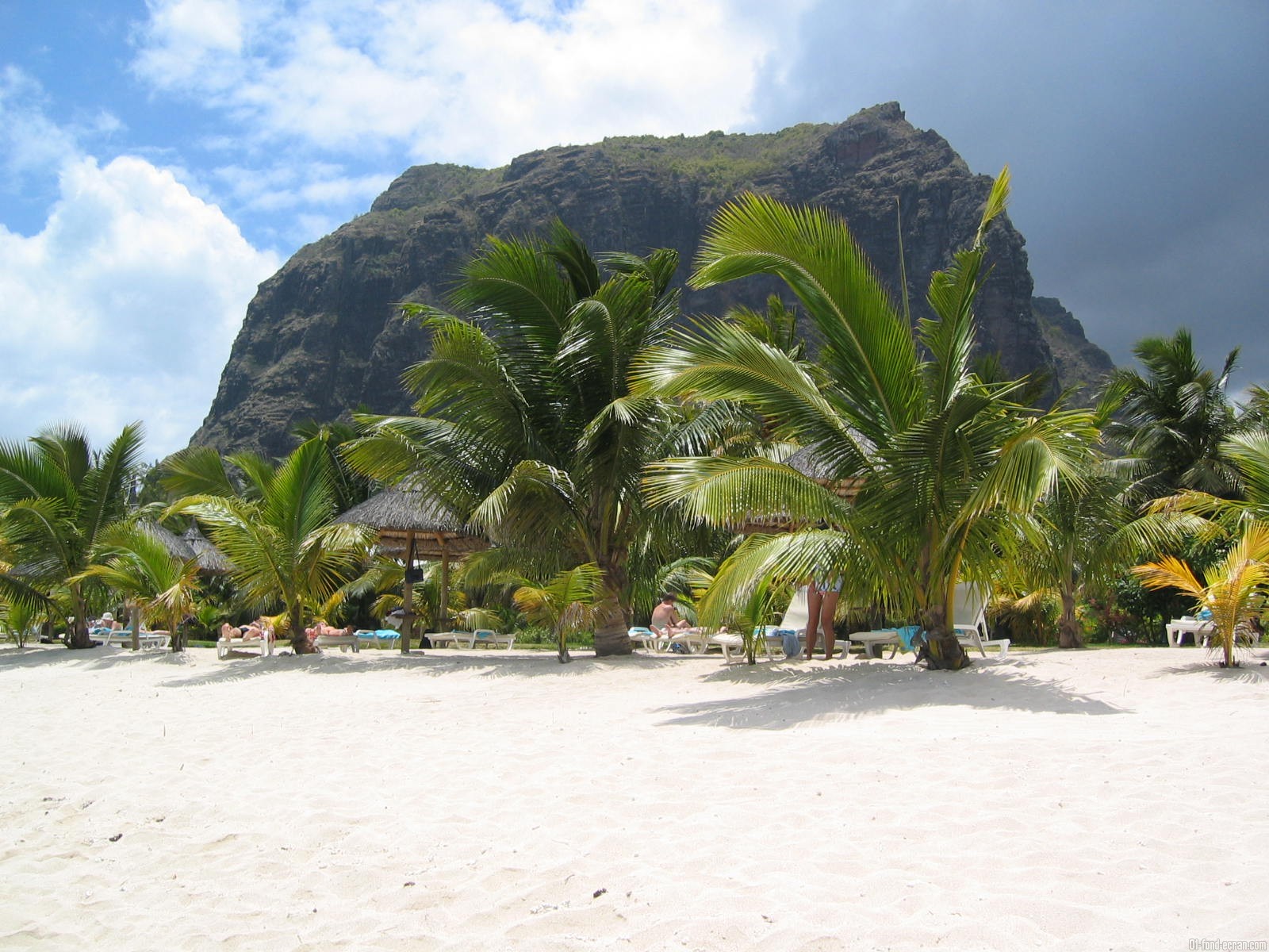 Fond d'écran plage et cocotier L'îles Maurice