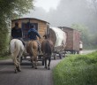 roulotte et chevaux