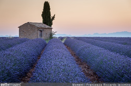 Zoom sur l’éco tourisme en Provence