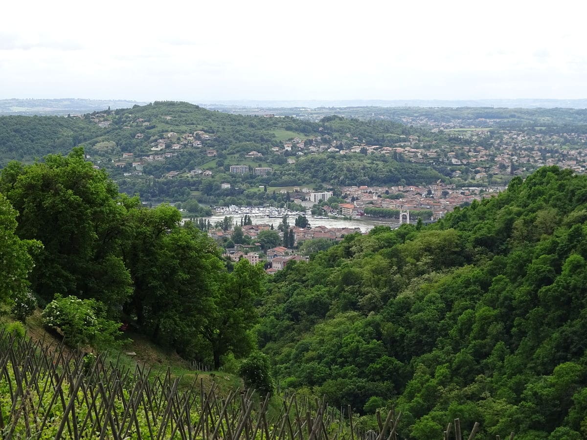 Le top 5 des choses à faire et à voir dans le département de la Loire