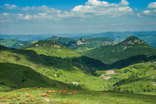 Quels souvenirs ramener d’Auvergne ?